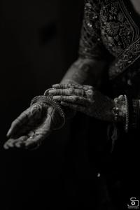 Photos by Safarsaga Films