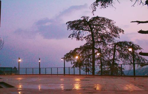 Photos by Hotel Willow Banks 