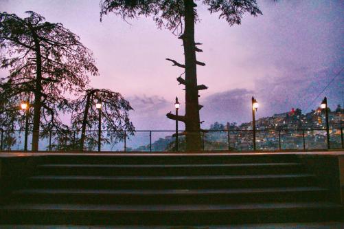 Photos by Hotel Willow Banks 