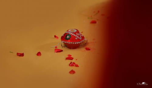 Photos by Clickmaze photography