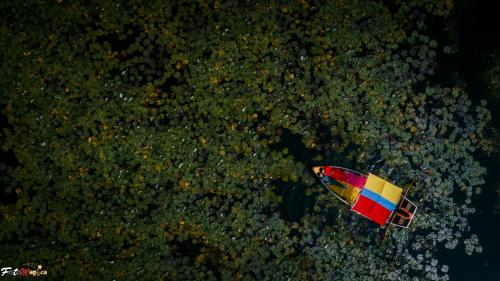 Photos by FotoMagica Photography