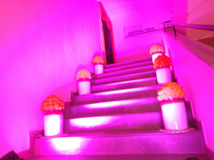 Photos by Saatvik Luxury Weddings & Events