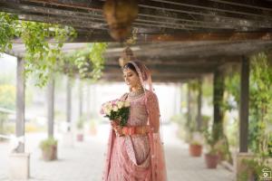 Photos by Safarsaga Films