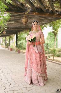 Photos by Safarsaga Films