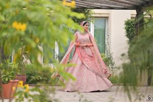 Photos by Safarsaga Films