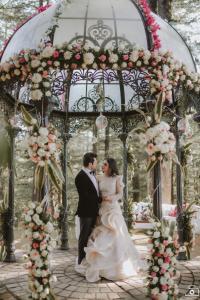 Photos by Safarsaga Films