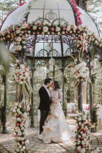 Photos by Safarsaga Films
