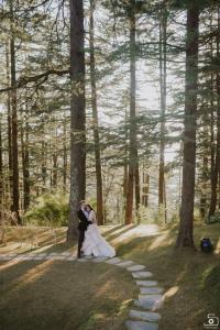 Photos by Safarsaga Films