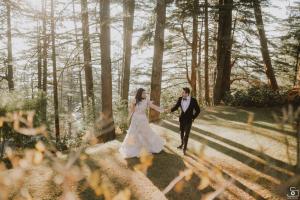 Photos by Safarsaga Films