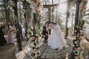 Photos by Safarsaga Films