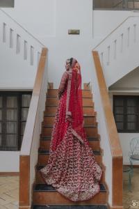 Photos by Safarsaga Films