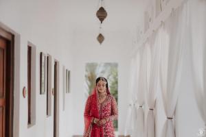 Photos by Safarsaga Films