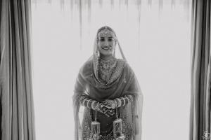 Photos by Safarsaga Films