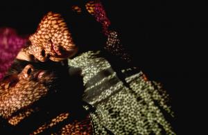 Photos by Jodigraphers