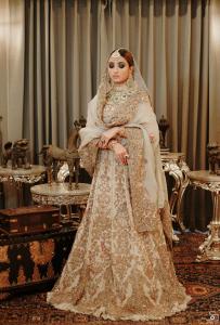 Photos by Safarsaga Films
