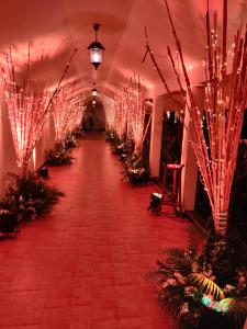 Photos by Muhurat Creations