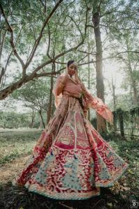 Photos by Safarsaga Films