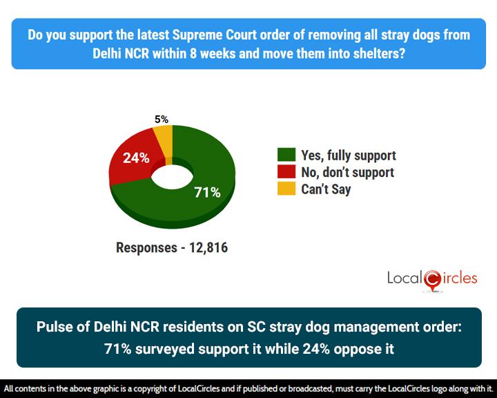 Pulse of Delhi NCR residents on SC stray dog management order: 71% surveyed support it while 24% oppose it Pulse of Delhi NCR residents on SC stray dog management order: 71% surveyed support it while 24% oppose it