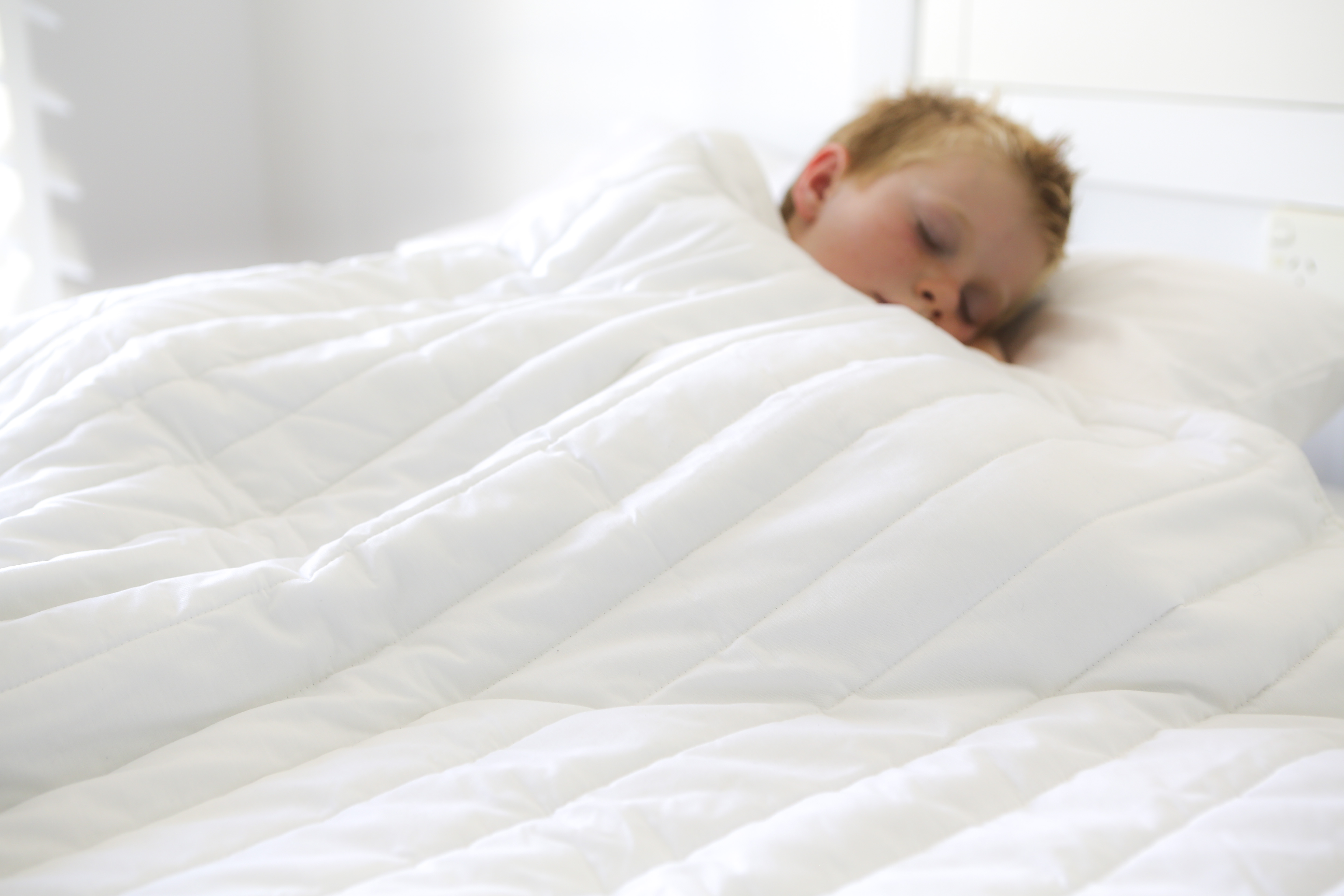 Bedding Archives - Freedom2Live