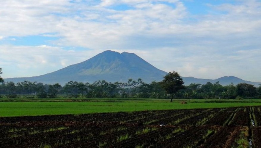 Arung Jeram Sungai Pekalen di Jawa Timur