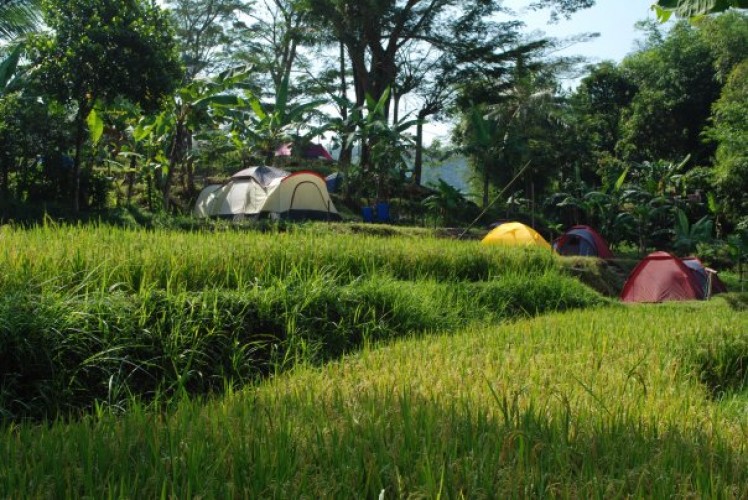 Camping dan Imah Tree Citatih Cherokee Sukabumi di Sukabumi