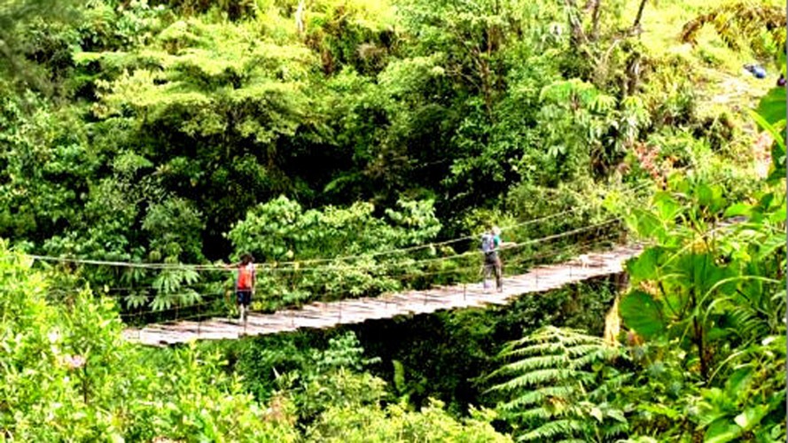 5H4M Paket Trekking Lembah Baliem di Papua