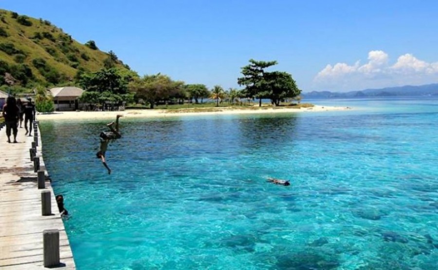 4d3n Flores Exotic Komodo Tour In Flores