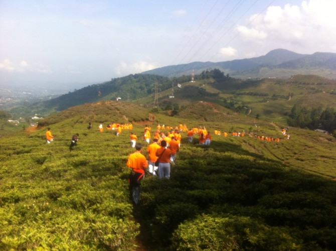 Puncak Pass Resort di Bogor