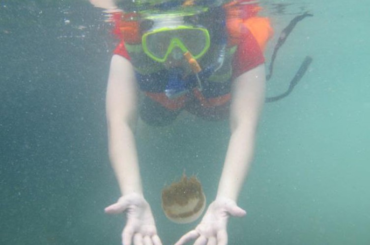 4H3M Derawan Tour di Kalimantan