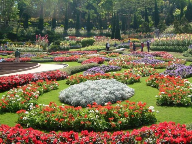 5 Days Bangkok Khao Yai And Sunflower With Garuda Airlines