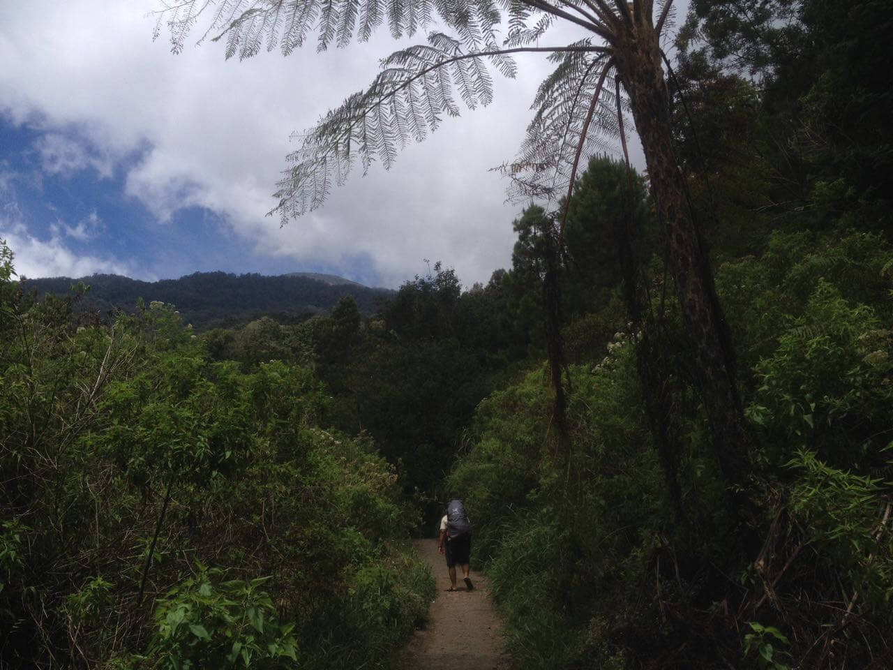 kalo ini mirip Jalur Semeru sebelum Watu Rejeng (kayaknya) :D