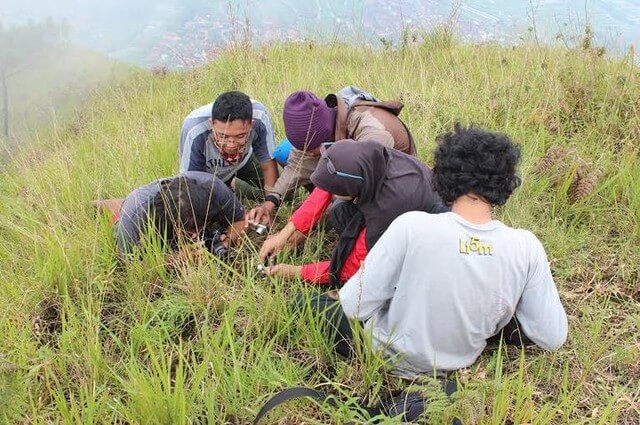 Ketika menemukan spesies baru yang belum ada dalam catatan, kami memotret hingga puas dan mencatat dengan detail. (Rina Septu Ningsih)
