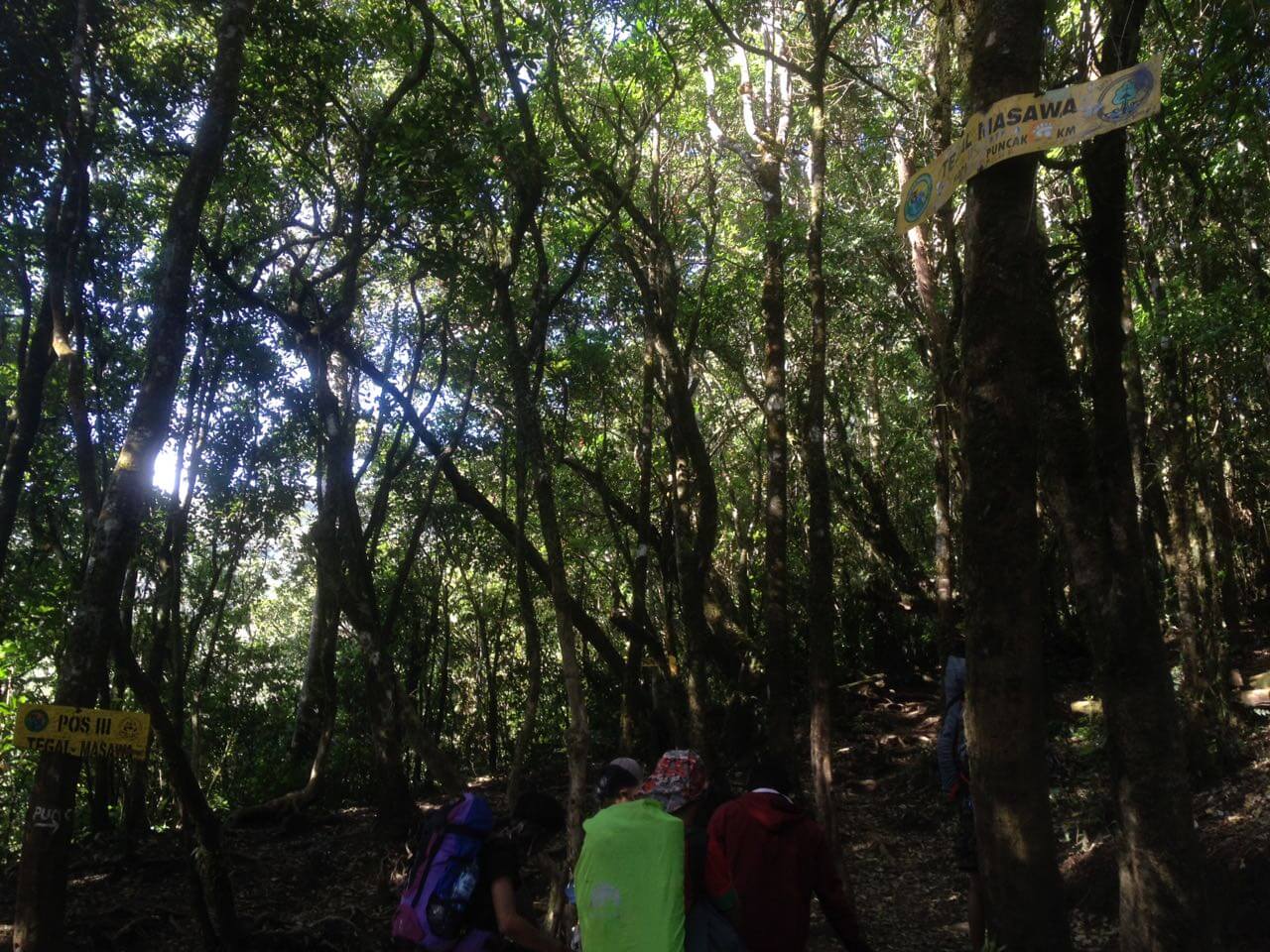 Pos 3 Tegal Masawa, Gunung Ciremai via Apuy (Foto oleh : @afvendiant)