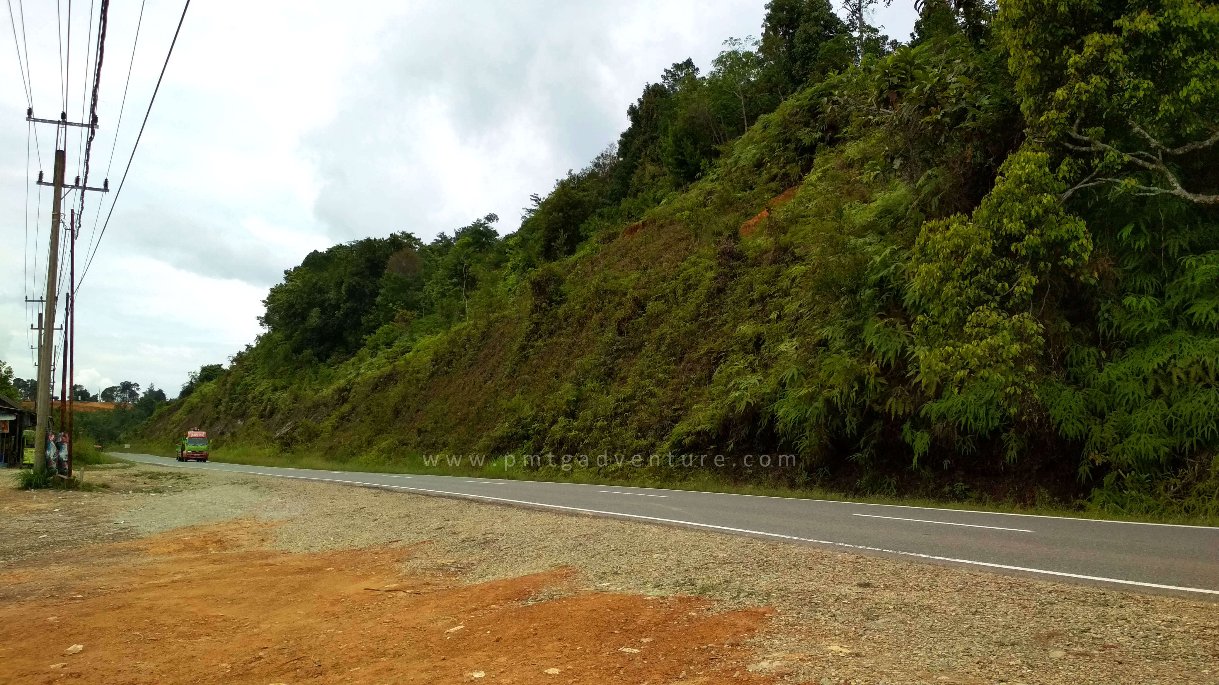 Lereng/ Tebing di Seberang Jalan yang banyak ditumbuhi Kantong Semar (Foto oleh : @afvendiant)
