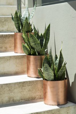 copper-vase_polished03
