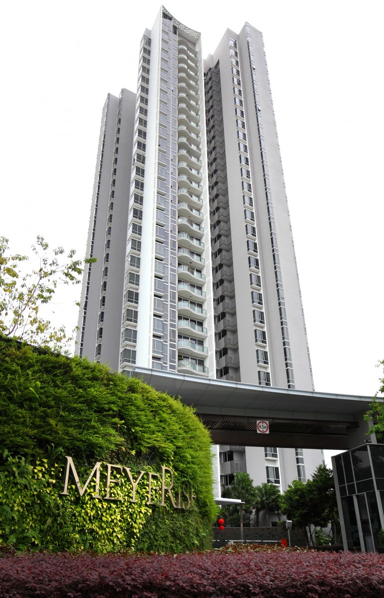 the meyerise
