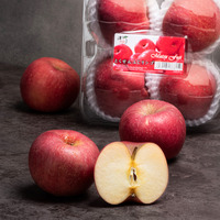 China Premium Fuji Apple