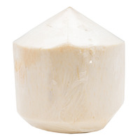 Thailand Young Coconut