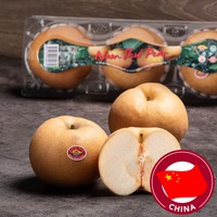 China Nam Shui Pear