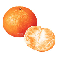 Sunkist Australia Delite Mandarin