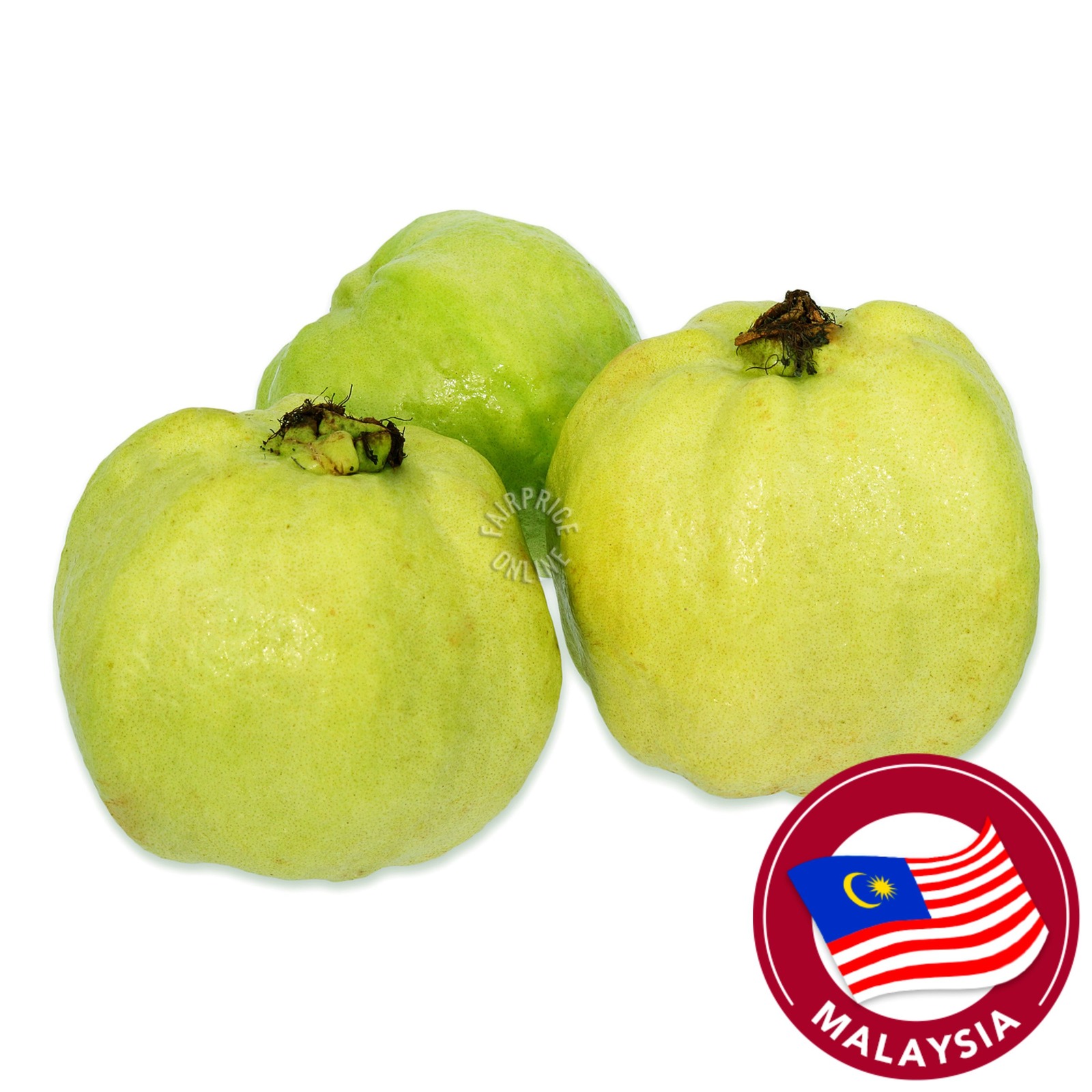 Pasar Malaysia Seedless Guava