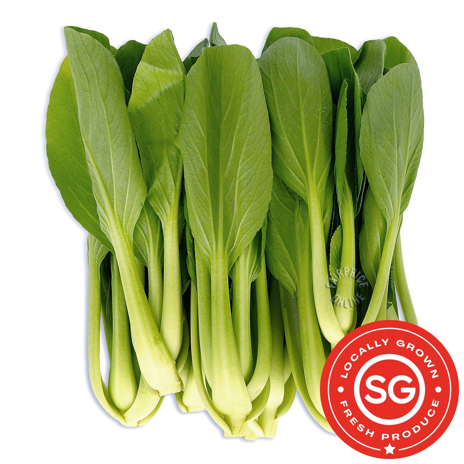 Yili Singapore Xiao Bai Cai | NTUC FairPrice