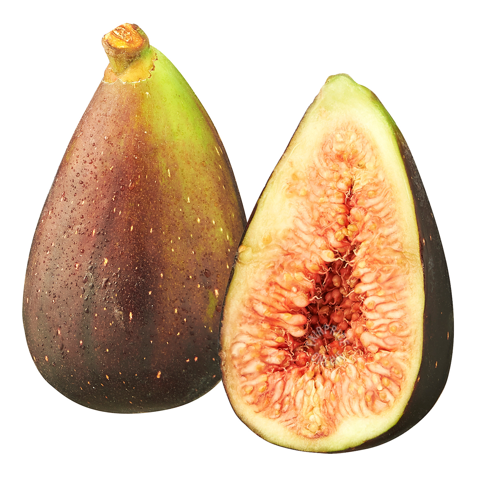 Star South South Africa Figs