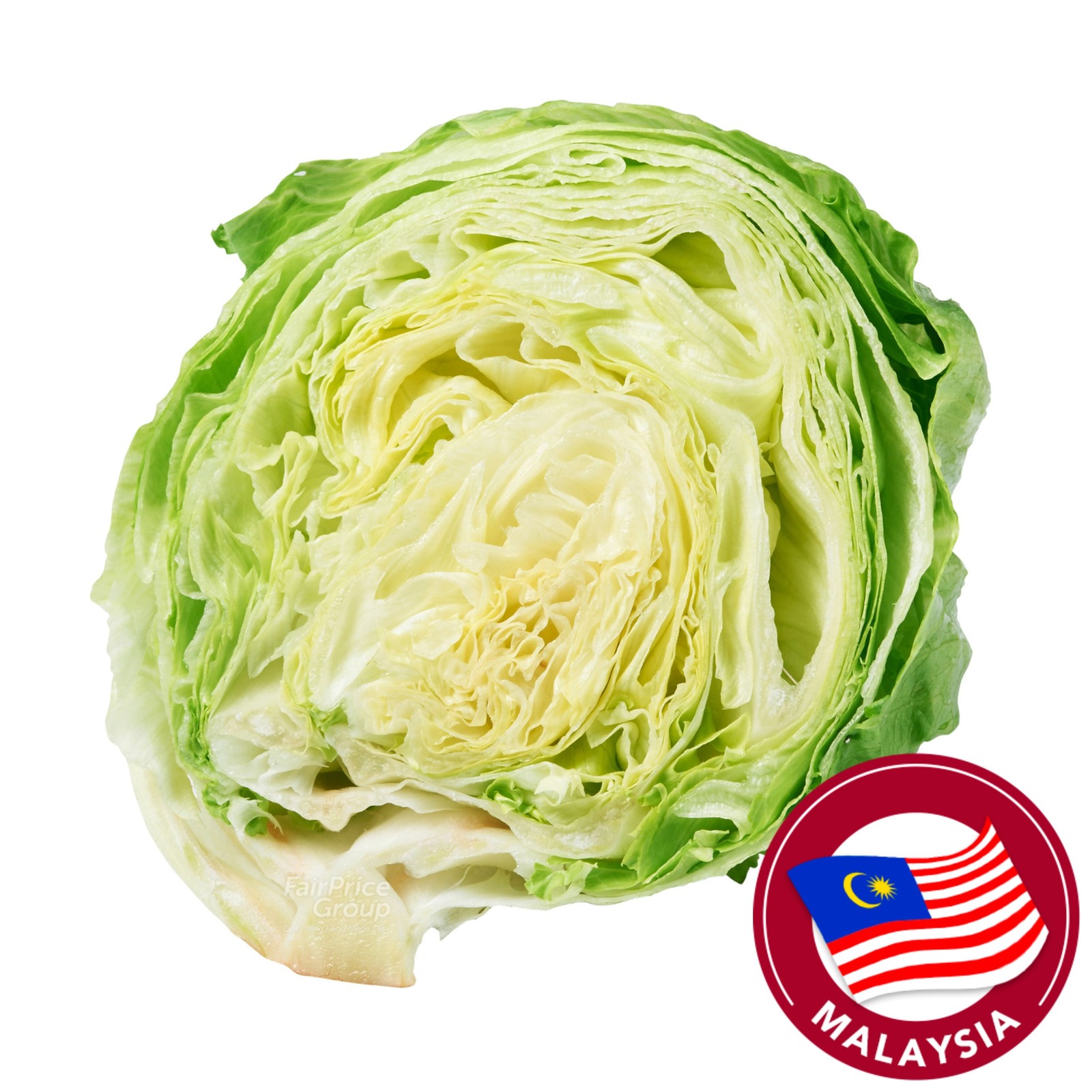 Iceberg Lettuce