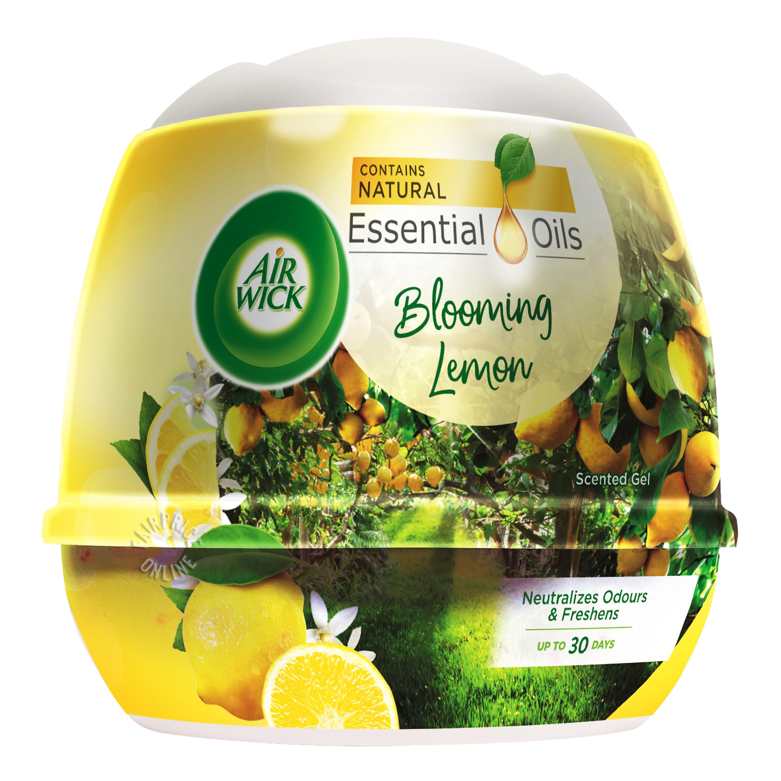 Airwick Scented Gel - Blooming Lemon