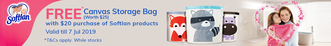 Softlan_HeaderBanner_Jun2019_S2B