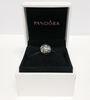 Pandora Bracelet Charm