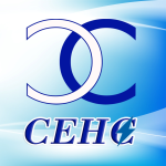 City Electric Holding Company (Pvt) Ltd