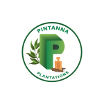 Pintanna Plantations (Pvt) Ltd