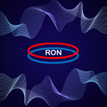 Ron Dynamics (Pvt) Ltd